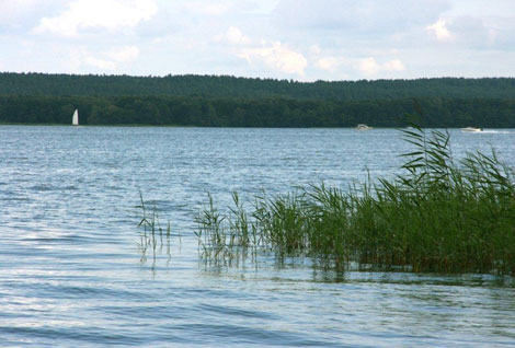 Plauer See